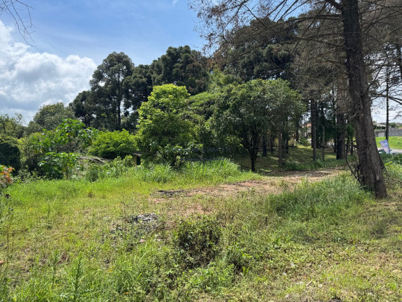 Imagem Terreno à Venda, 17.373 m² em Osasco - Colombo Imagem Terreno à Venda, 17.373 m² em Osasco - Colombo