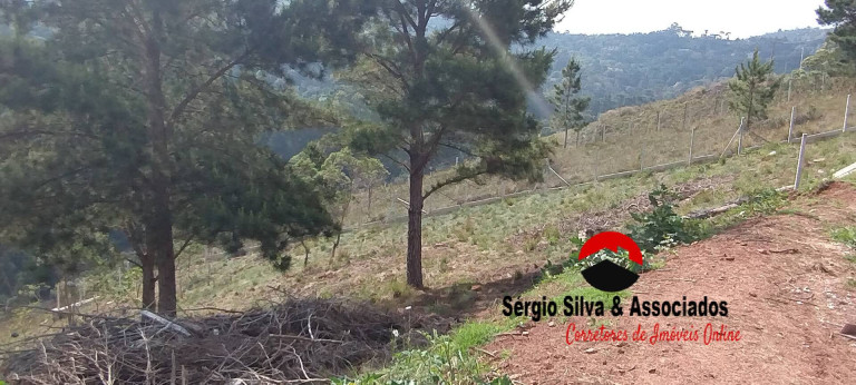 Imagem Terreno à Venda, 1.048 m² em Atalaia - Campos Do Jordão Imagem Terreno à Venda, 1.048 m² em Atalaia - Campos Do Jordão