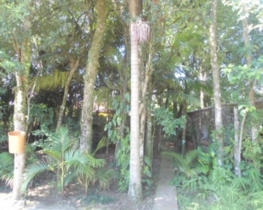 Imagem Casa com 5 Quartos à Venda, 385 m² em Piá - Nova Petrópolis