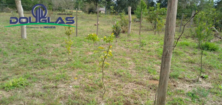Imagem Casa à Venda, em Viamão Imagem Casa à Venda, em Viamão