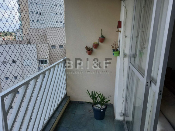 Imagem Apartamento com 2 Quartos à Venda, 69 m² em Vila Mascote - São Paulo Imagem Apartamento com 2 Quartos à Venda, 69 m² em Vila Mascote - São Paulo
