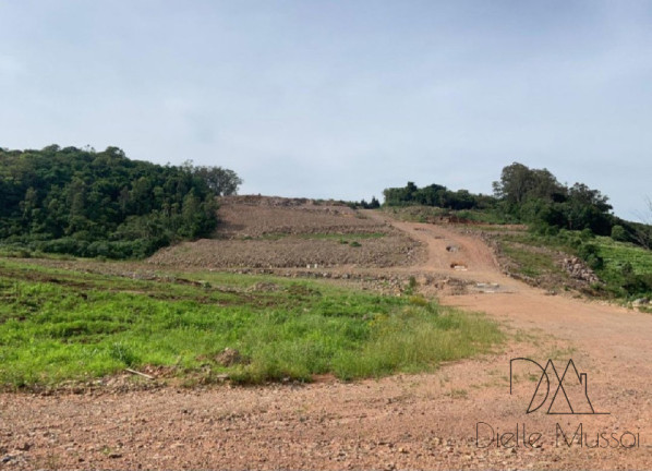Imagem Terreno à Venda, 330 m² em Nossa Senhora Das Graças - Caxias Do Sul Imagem Terreno à Venda, 330 m² em Nossa Senhora Das Graças - Caxias Do Sul