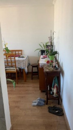 Imagem Apartamento com 2 Quartos à Venda, 52 m² em Jardim Celeste - São Paulo