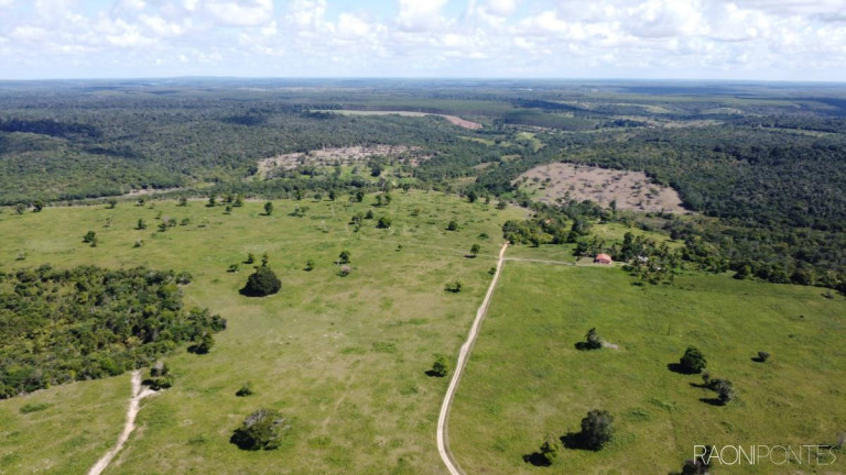 Imagem Fazenda à Venda, 7.140.000 m² em Zona Rural - Cardeal Da Silva Imagem Fazenda à Venda, 7.140.000 m² em Zona Rural - Cardeal Da Silva