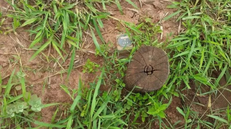Imagem Fazenda à Venda, 500 m² em Zona Rural - Paranatinga