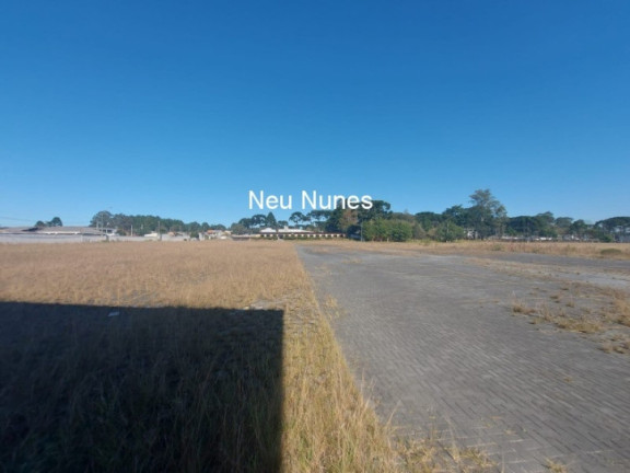 Terreno à Venda, 42.060 m² em Roseira De São Sebastião - São José Dos Pinhais