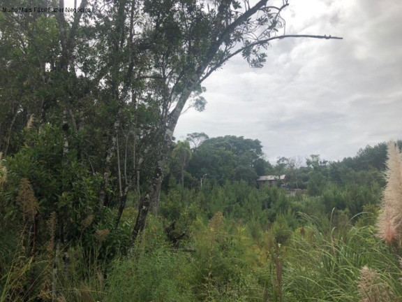 Imagem Terreno à Venda, 384 m² em Germânia - Nova Petrópolis Imagem Terreno à Venda, 384 m² em Germânia - Nova Petrópolis