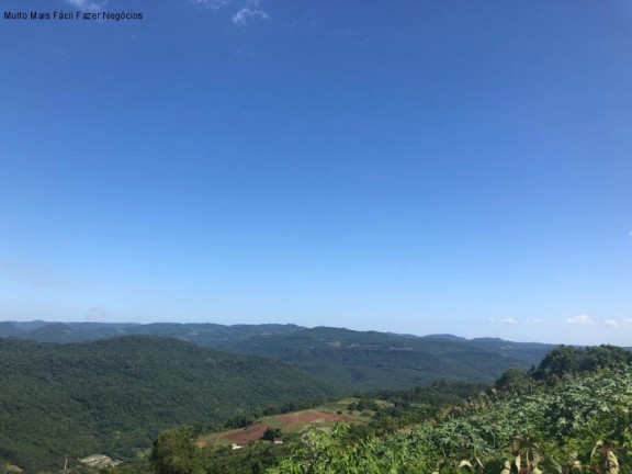 Terreno à Venda, 3 m² em Linha Olinda - Nova Petrópolis