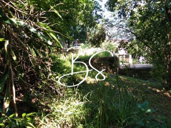 Imagem Terreno à Venda, 1.040 m² em Linha 28 - Três Coroas Imagem Terreno à Venda, 1.040 m² em Linha 28 - Três Coroas