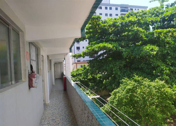 Imagem Apartamento com 2 Quartos à Venda, 42 m² em Vila Guilhermina - Praia Grande Imagem Apartamento com 2 Quartos à Venda, 42 m² em Vila Guilhermina - Praia Grande