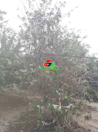 Imagem Chácara à Venda, 500 m² em Recanto Dos Nobres - São José Dos Campos Imagem Chácara à Venda, 500 m² em Recanto Dos Nobres - São José Dos Campos