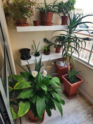 Imagem Apartamento com 3 Quartos à Venda, 70 m² em Mansões Santo Antônio - Campinas Imagem Apartamento com 3 Quartos à Venda, 70 m² em Mansões Santo Antônio - Campinas