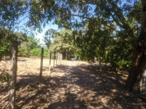 Imagem Chácara com 2 Quartos à Venda, 3.870 m² em área Rural De Lins - Lins Imagem Chácara com 2 Quartos à Venda, 3.870 m² em área Rural De Lins - Lins