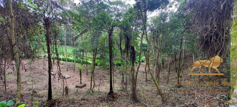 Imagem Terreno à Venda, 1.050 m² em Alto Da Boa Vista - Campos Do Jordão Imagem Terreno à Venda, 1.050 m² em Alto Da Boa Vista - Campos Do Jordão