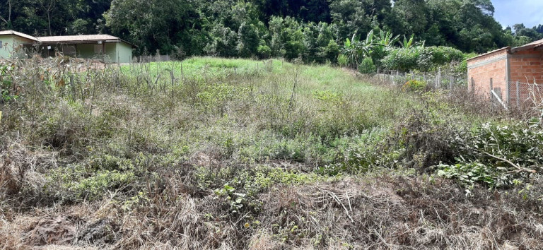 Imagem Imóvel com 1 Quarto à Venda, 1.000 m² em Bairro Marambaia (rural) - Bandeira Do Sul Imagem Imóvel com 1 Quarto à Venda, 1.000 m² em Bairro Marambaia (rural) - Bandeira Do Sul