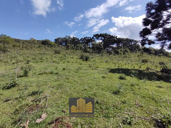 Fazenda à Venda, 5.000 m² em Linha 40 - Caxias Do Sul