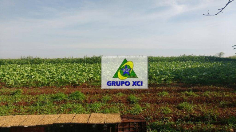 Imagem Imóvel à Venda, 128.000 m² em Jardim Pari - Paulínia Imagem Imóvel à Venda, 128.000 m² em Jardim Pari - Paulínia