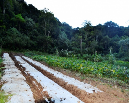 Imagem Imóvel à Venda, em Vila Germânia - Nova Petrópolis Imagem Imóvel à Venda, em Vila Germânia - Nova Petrópolis