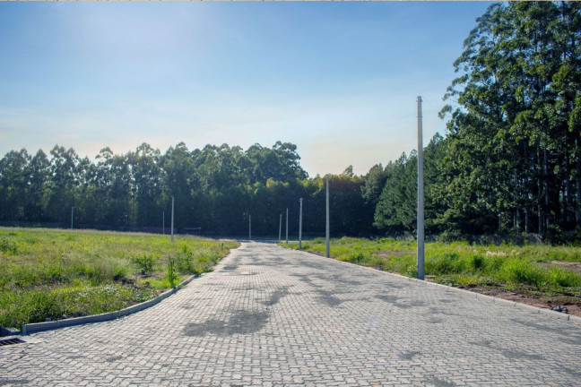 Imagem Terreno à Venda, 559 m² em Camobi - Santa Maria Imagem Terreno à Venda, 559 m² em Camobi - Santa Maria