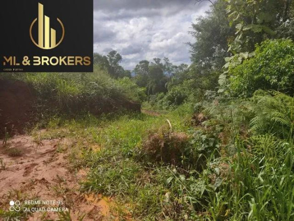 Imagem Imóvel à Venda, 20.000 m² em Sao Silvestre - Campo Largo