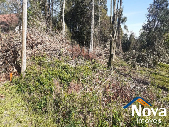 Imagem Imóvel à Venda, 621 m² em Pousada Da Neve - Nova Petrópolis Imagem Imóvel à Venda, 621 m² em Pousada Da Neve - Nova Petrópolis