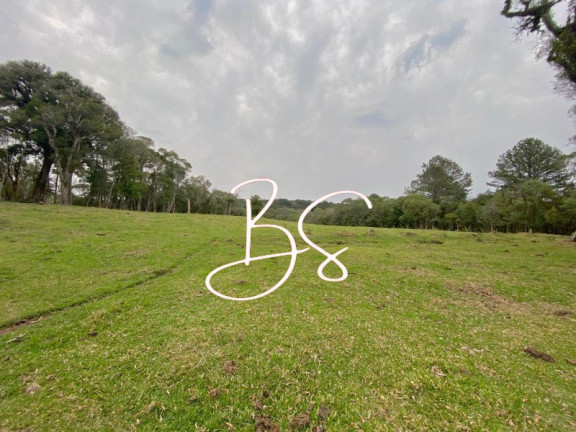 Imagem Terreno à Venda, 48.300 m² em Mato Queimado - Gramado Imagem Terreno à Venda, 48.300 m² em Mato Queimado - Gramado