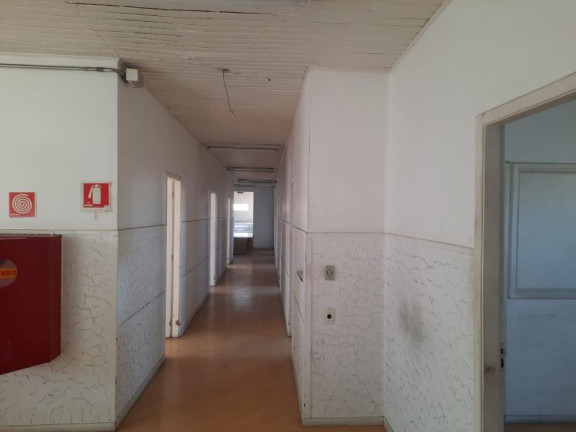 Imagem Imóvel com 1 Quarto para Alugar, 120 m² em Jardim Modelo - São Paulo Imagem Imóvel com 1 Quarto para Alugar, 120 m² em Jardim Modelo - São Paulo