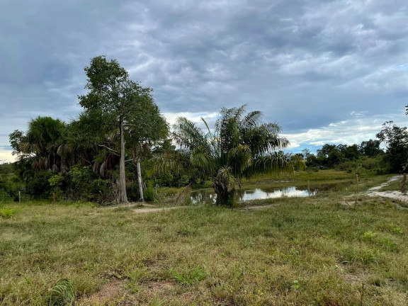 Imagem Fazenda à Venda, 500 m² em Zona Rural - Aliança Do Tocantins