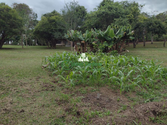 Imagem Chácara com 4 Quartos à Venda, 6.160 m² em Centro - Paraibuna