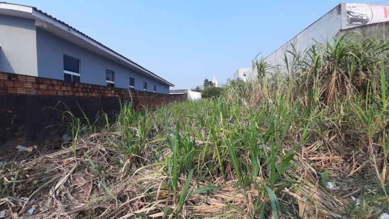 Terreno à Venda, 480 m² em Floresta - Cascavel