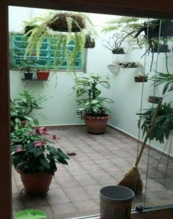 Imagem Casa com 4 Quartos à Venda, 500 m² em Vila Zat - São Paulo Imagem Casa com 4 Quartos à Venda, 500 m² em Vila Zat - São Paulo