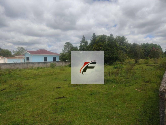 Imagem Terreno à Venda, 44.162 m² em Lapa - Mariental