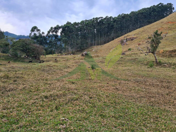 Imagem Chácara com 2 Quartos à Venda, 750.200 m² em Piracaia - Piracaia Imagem Chácara com 2 Quartos à Venda, 750.200 m² em Piracaia - Piracaia