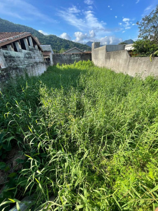 Terreno à Venda, 250 m² em Perequê Açu - Ubatuba