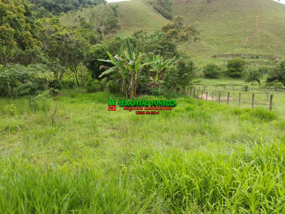 Imagem Chácara com 3 Quartos à Venda, 3.000 m² em Centro - Paraibuna Imagem Chácara com 3 Quartos à Venda, 3.000 m² em Centro - Paraibuna