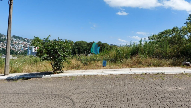 Terreno à Venda, 429 m² em Universitário - Bento Gonçalves