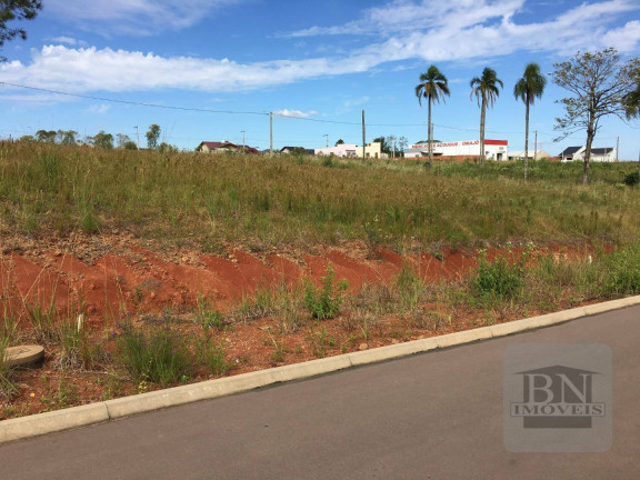 Imagem Terreno à Venda, 340 m² em João Alves - Santa Cruz Do Sul Imagem Terreno à Venda, 340 m² em João Alves - Santa Cruz Do Sul