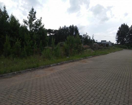 Imagem Imóvel à Venda, 360 m² em Vila Germânia - Nova Petrópolis
