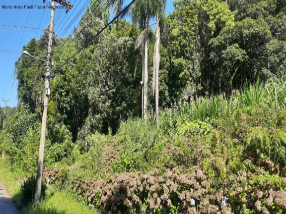 Imagem Terreno à Venda, 448 m² em Vila Olinda - Nova Petrópolis