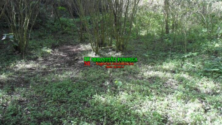 Imagem Chácara à Venda, 72.600 m² em São Francisco Xavier - São José Dos Campos