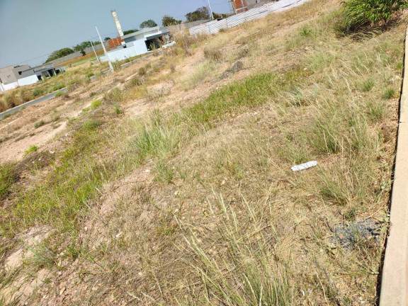 Imagem Terreno à Venda, 250 m² em Ribeirão Do Lipa - Cuiabá Imagem Terreno à Venda, 250 m² em Ribeirão Do Lipa - Cuiabá