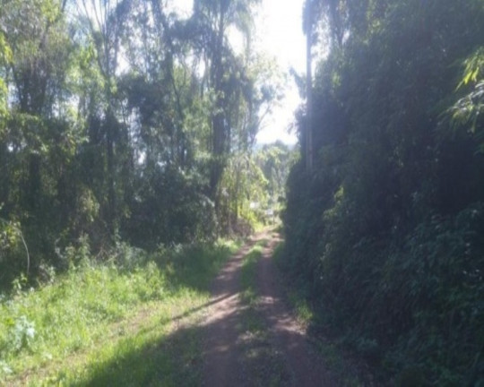Terreno à Venda, 3 m² em Linha Pirajá Alta - Nova Petrópolis