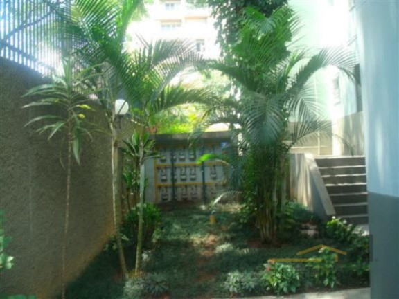 Imagem Apartamento com 3 Quartos à Venda,  em Vila Amélia - São Paulo