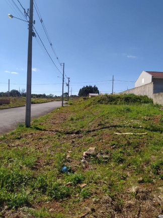 Imagem Terreno à Venda, em Centro - Contenda Imagem Terreno à Venda, em Centro - Contenda
