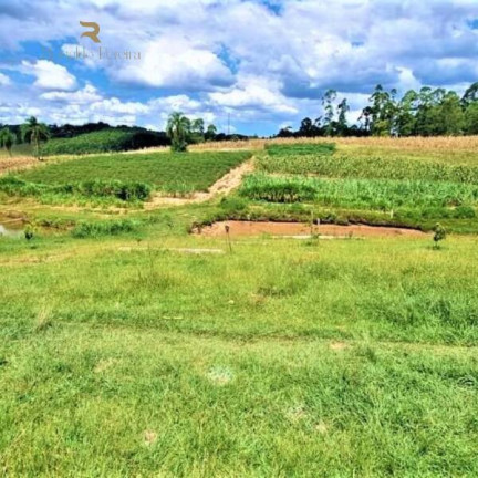 Imagem Chácara à Venda, 20.000 m² em Gravataí Imagem Chácara à Venda, 20.000 m² em Gravataí