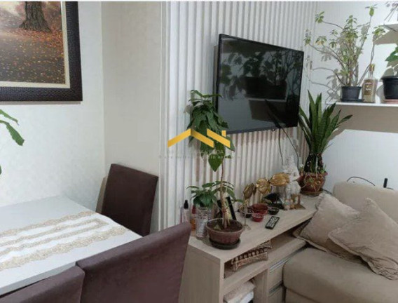Apartamento com 2 Quartos à Venda, 65 m² em Vila Mascote - São Paulo