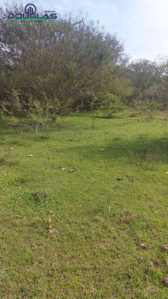 Imagem Chácara à Venda, 40.000 m² em Viamão Imagem Chácara à Venda, 40.000 m² em Viamão