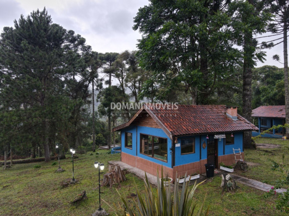 Imagem Imóvel com 3 Quartos à Venda, 531 m² em Região Da Campista - Campos Do Jordão Imagem Imóvel com 3 Quartos à Venda, 531 m² em Região Da Campista - Campos Do Jordão