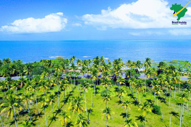 Terreno à Venda, 441.000 m² em Orla Norte - Porto Seguro
