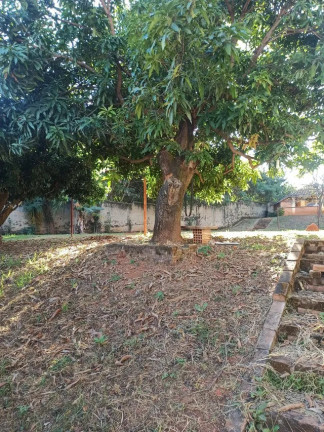 Terreno à Venda, 1.300 m² em R$1.000.000,00 // Jardim Atlântico - Belo Horizonte
